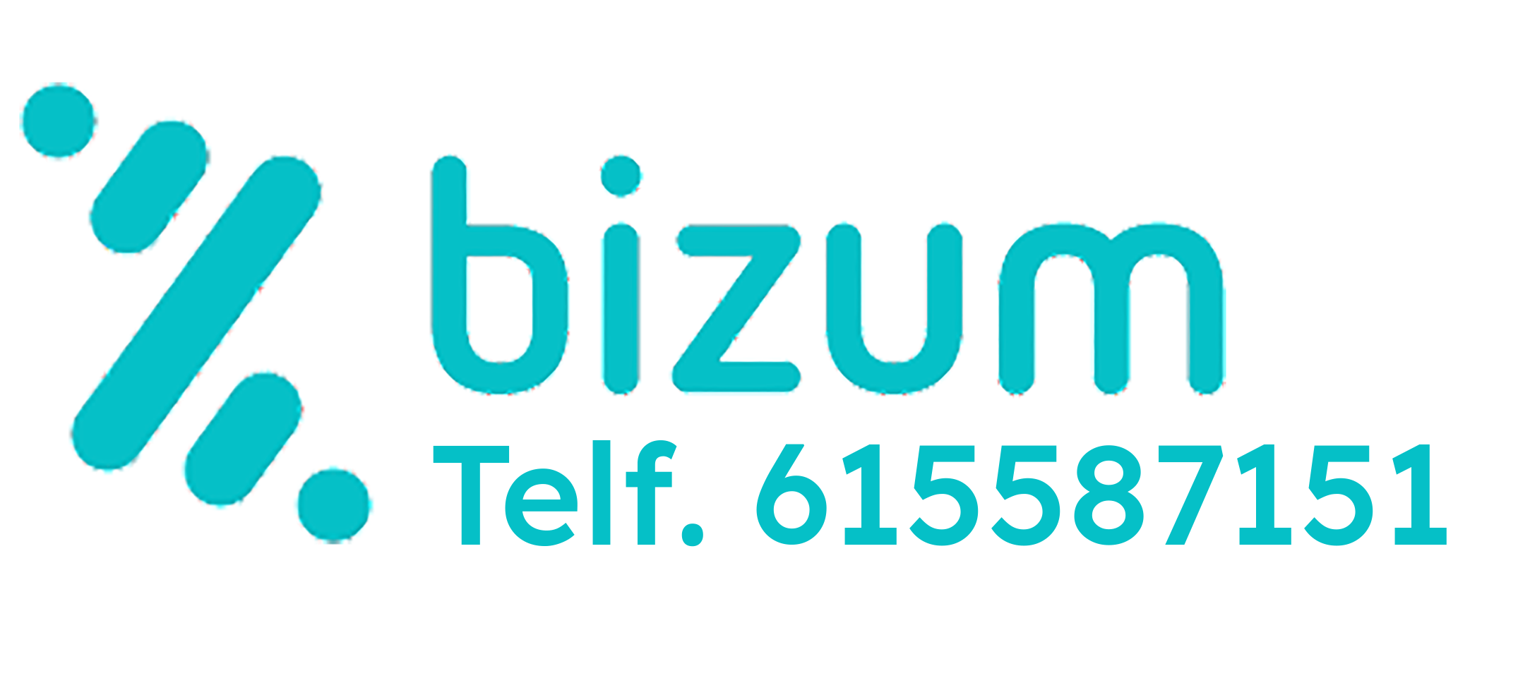 logo bizum psicologia